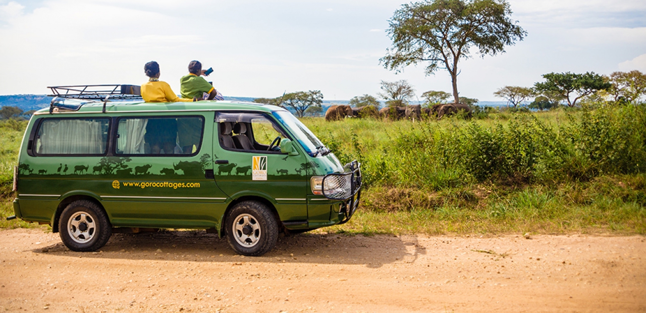 safari tours